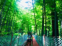 -藏龙百瀑风景区