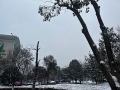 -南阳建业森林半岛假日酒店