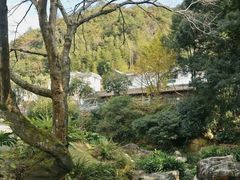 -雁南飞茶田景区