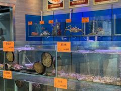 -好彩海鲜火锅饭店(银河百老汇店)