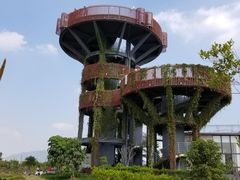 -芒洲湿地公园