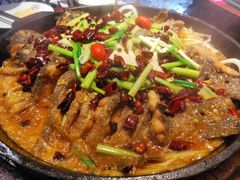 -老板恋上鱼(高新万达店)