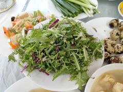 苦菊-康陵正德春饼宴26号