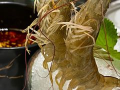 -红鼎豆捞·非遗鲍皇汤火锅(宝丰路店)