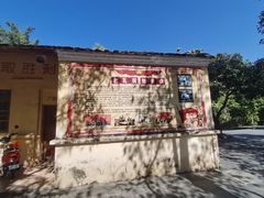 -东莞市大岭山森林公园