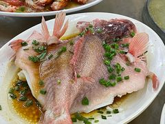 东星斑-明记海鲜大排档(巽寮湾店)