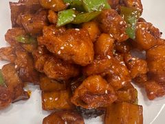 -正阳春烤鸭(华捷道店)