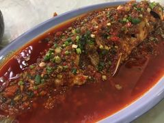 -圣厨牛腩(青春岛社区玉寿苑店)