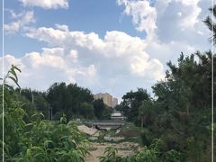 -大兴滨河森林公园