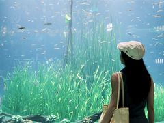 -海合安成都极地海洋公园