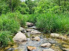 -碓臼峪自然风景区