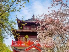-堤角公园