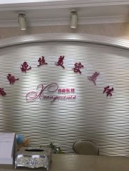 -香薇妮丝女子减肥院