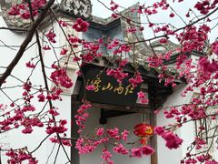 -乌山风景区