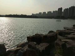 -南翔镇银翔湖公园
