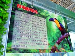 -武清南湖绿博园