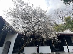 -白鹿洞书院