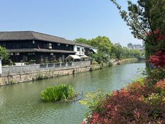 -观潮胜地公园