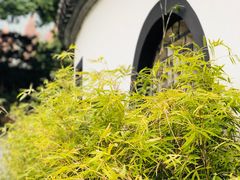 -凤凰御元艺术基地