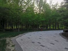 -万泉公园