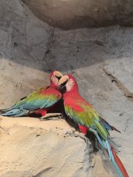-Zoolung Zoolung动物主题公园(海信广场店)