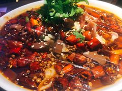 -老板恋上鱼(恒隆广场店)