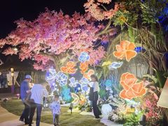 -三亚海昌梦幻海洋不夜城