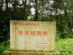 -张坝桂圆林公园