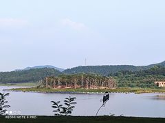 -美的鹭湖森林度假区