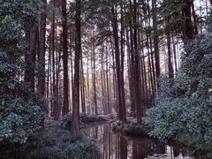 -中国茶叶博物馆(双峰馆区)