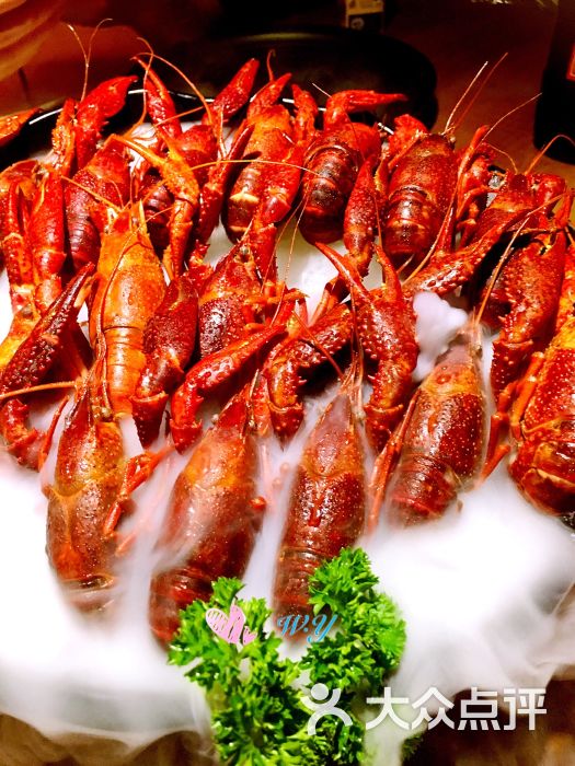 冰镇酒醉龙虾