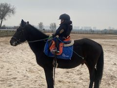 -汉长安城未央宫国家考古遗址公园