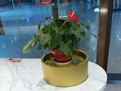 -康师傅私房牛肉面(申虹店)