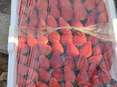 -东方鼎信农副产品交易中心