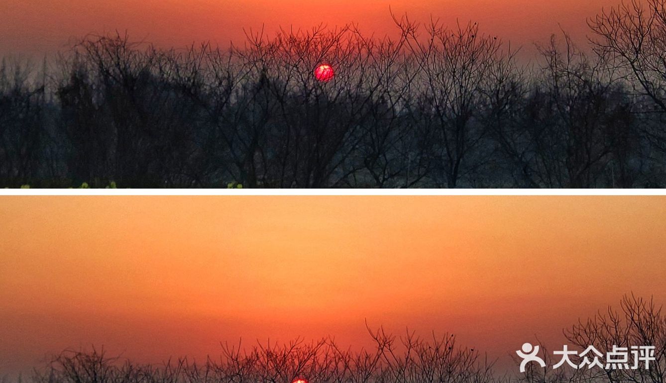 无为市竟然有这么神仙颜值的地方