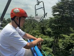 -圣淘沙天际线斜坡滑车