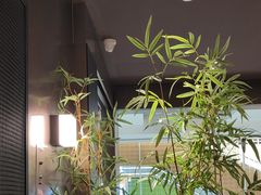 -顺香居·老字号湖北菜(江汉路店)