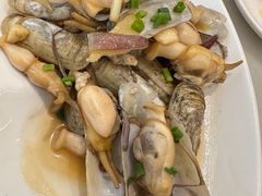 蛏子-华盛丰温州大排档(东三环南路店)