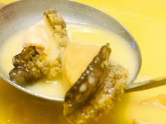 鲜活小鲍鱼-金龙·打边炉(武进路店)