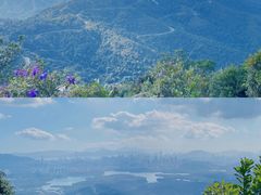 -阳台山森林公园