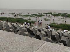 -奉贤海滩