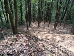 -梧桐山风景名胜区