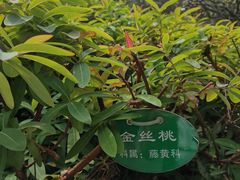 -汇龙潭