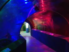 -泗洪洪泽湖湿地景区