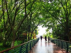 -上海吴淞炮台湾国家湿地公园