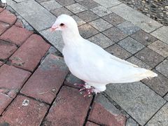-飞来湖湿地公园