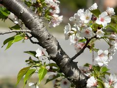 -苏州工学院(东湖校区)