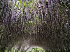 -同里国家湿地公园