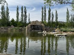 -大青山野生动物园