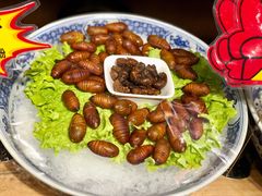 -鸽子窝(青塔店)